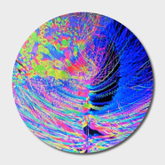 Disk