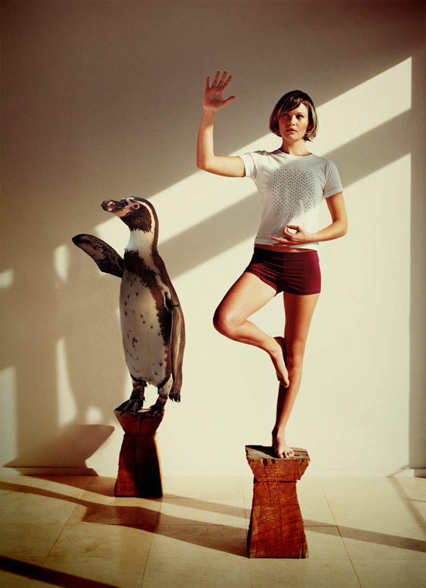 Curioos | «penguin yoga» Artwork by jochem van wetten