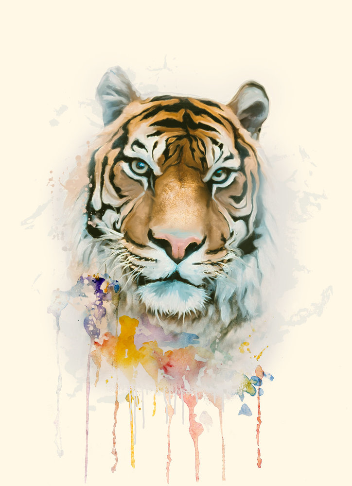 Curioos | «tiger colors» Artwork by NatureSpace