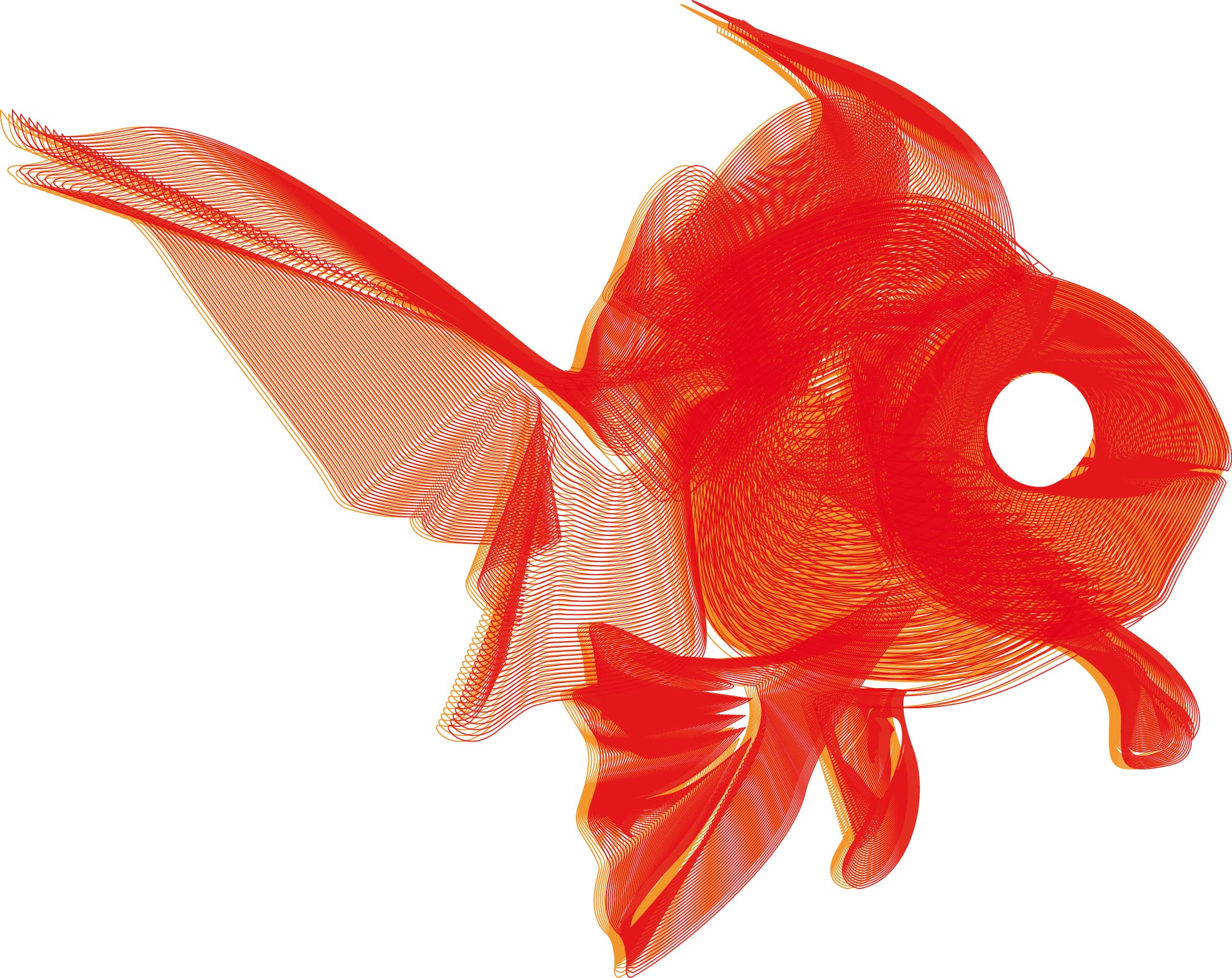 Curioos | «goldfish moirè» Artwork by giuditta matteucci