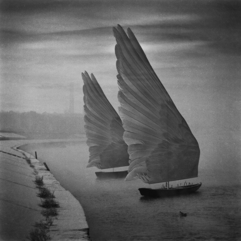 Curioos | «Wings of Imagination» Artwork by Dariusz Klimczak