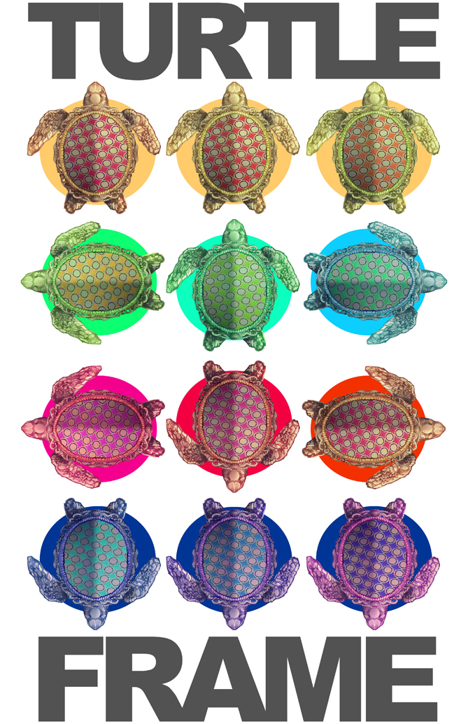 Curioos | «Turtle Frame » Artwork by Galvanise The Dog