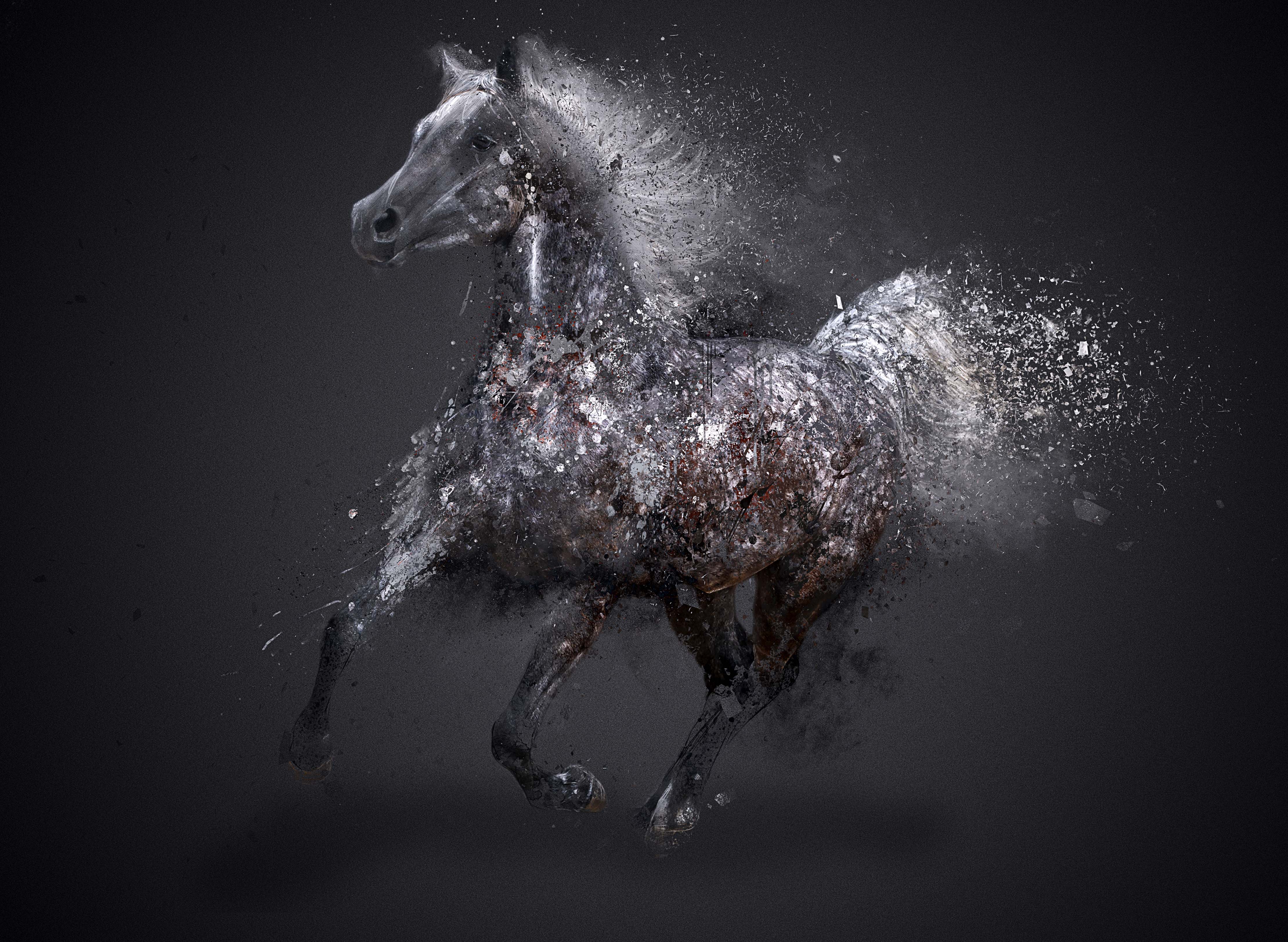 Curioos | «Horse 2» Artwork by adrien
