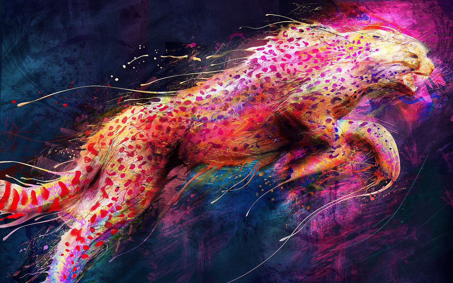 Curioos | «Cheetah» Artwork by Olivier Lutaud