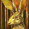 3 Eared Rabbit's avatar