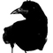 Black station's avatar