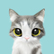 Sugar Cat & Candy Doggie's avatar