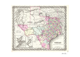 Vintage Map of Texas (1855)
