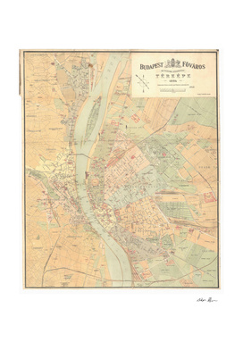 Vintage Map of Budapest Hungary (1884)