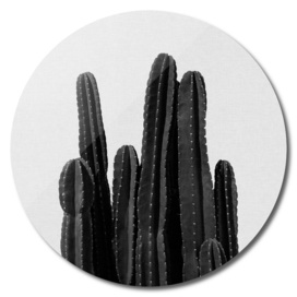 Cactus BW