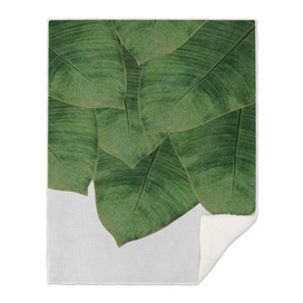 Banana Leaf II