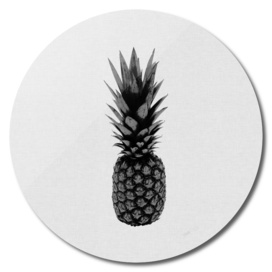 Pineapple BW