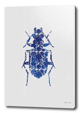 Blue Beetle II