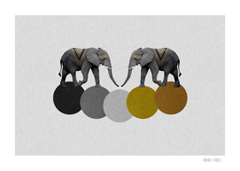 Geometric Elephants