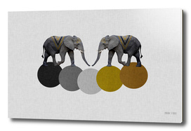 Geometric Elephants