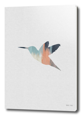 Pastel Hummingbird