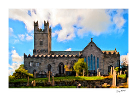 St. Mary's Cathedral Limerick curioos