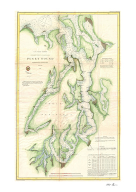 Vintage Map of The Puget Sound (1867)