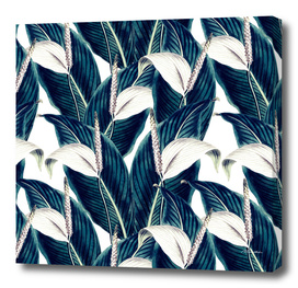 Bluish floral botanical