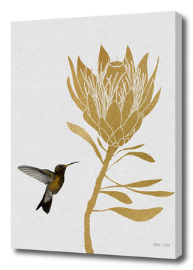 Hummingbird & Flower I