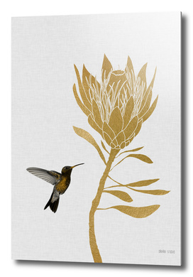 Hummingbird & Flower I