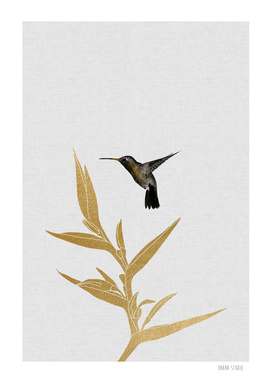 Hummingbird & Flower II