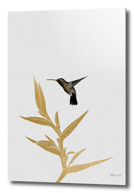 Hummingbird & Flower II