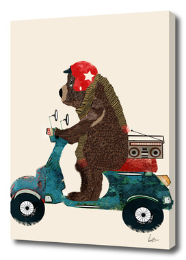 scooter bear