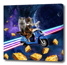 cat scooter travel with lasagne galaxy