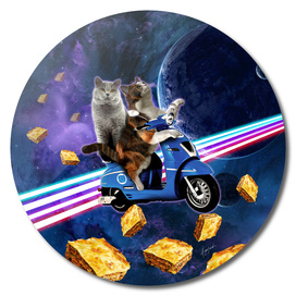 cat scooter travel with lasagne galaxy