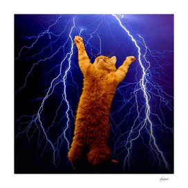 cat Thunders lighting space universe galaxy