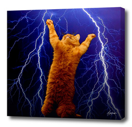 cat Thunders lighting space universe galaxy