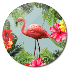Flamingo Tropical