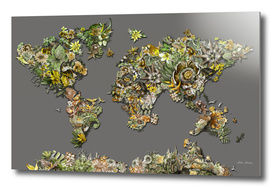 world map tropical flowers