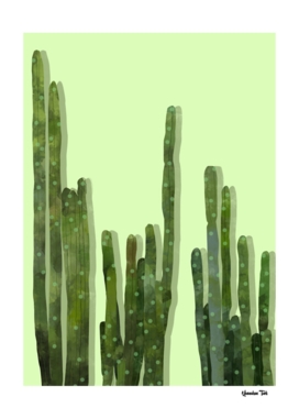 Point Cactus