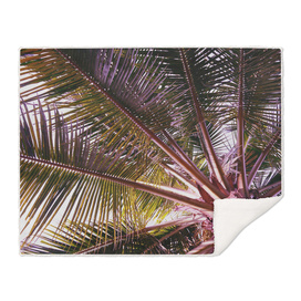 PINK PALM LEAVES