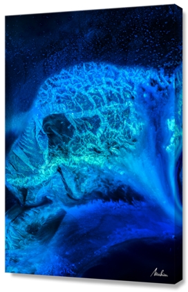 Blue medusa