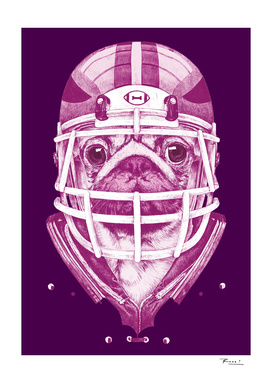 American Pug Football Purple