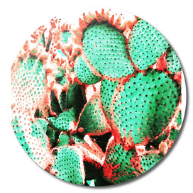 Cactus - watercolor II