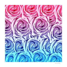 blossom pink and blue rose texture pattern abstract