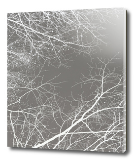 FOLIAGE SERIES Branches Impressions on gray