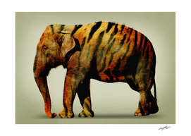 tiger elephant
