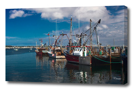 Fishing boats at the pier