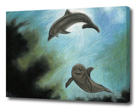 Dolphins underwater