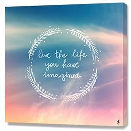 The Life You Have Imagined
