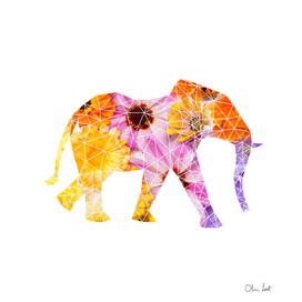 Geometrical elephant with flowers