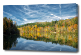 Autumn Forest At The Lake