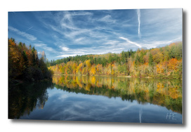 Autumn Forest At The Lake