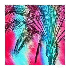 palm tree with splash painting abstract in pink blue yellow