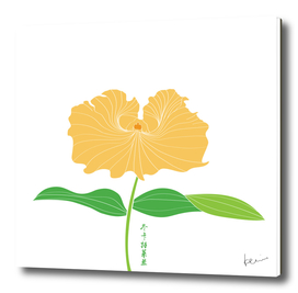 Cattleya trianei